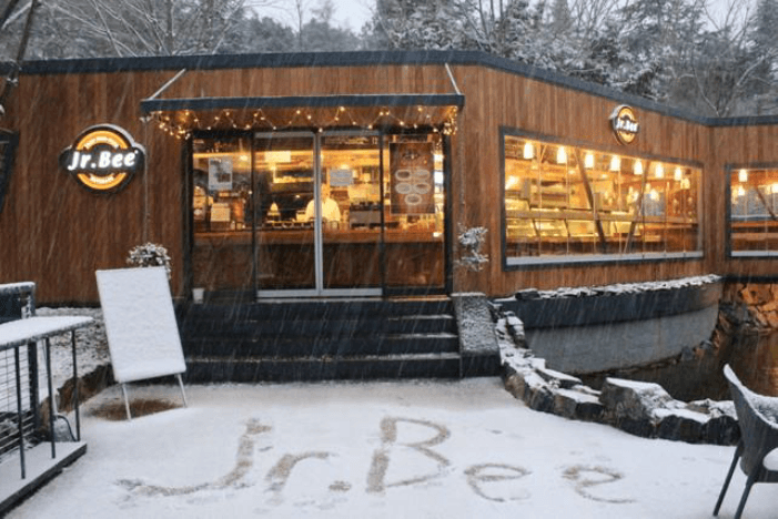 Jr. Bee neden kapatıldı?