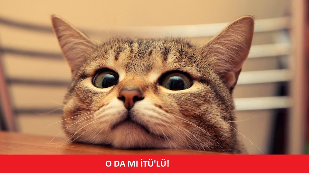 İTÜ101: İTÜ'lü ünlüleri tanıyalım