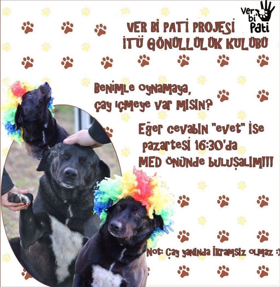 ''Benimle oynamaya, çay içmeye var mısın?''