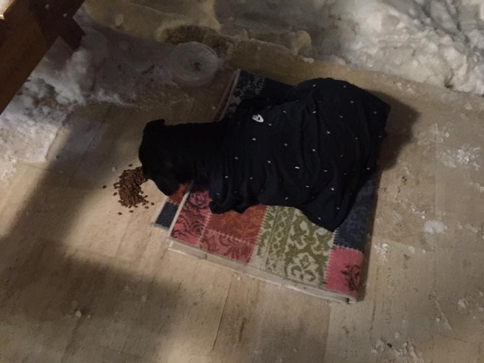 Siz de onlara sıcak yer sağlayabilirsiniz