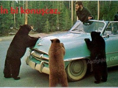 Prof. Dr. Celal Şengör’e “Guztav-Steinman Madalyası”