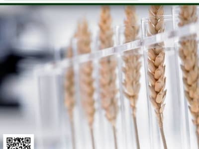 BIOTECH '14  3-4 Mayıs'ta İTÜ'de