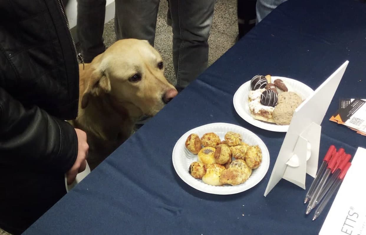 İTÜ veterinerlik birimi beslenme gönüllülerini arıyor