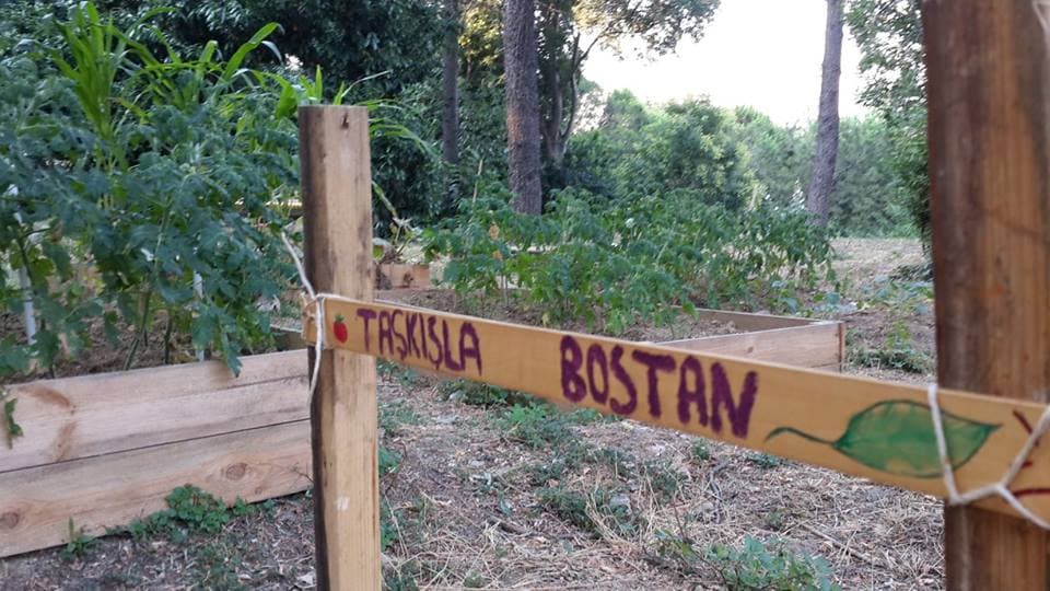 Farkındalık yaratan topluluk: Taşkışla Bostan Topluluğu