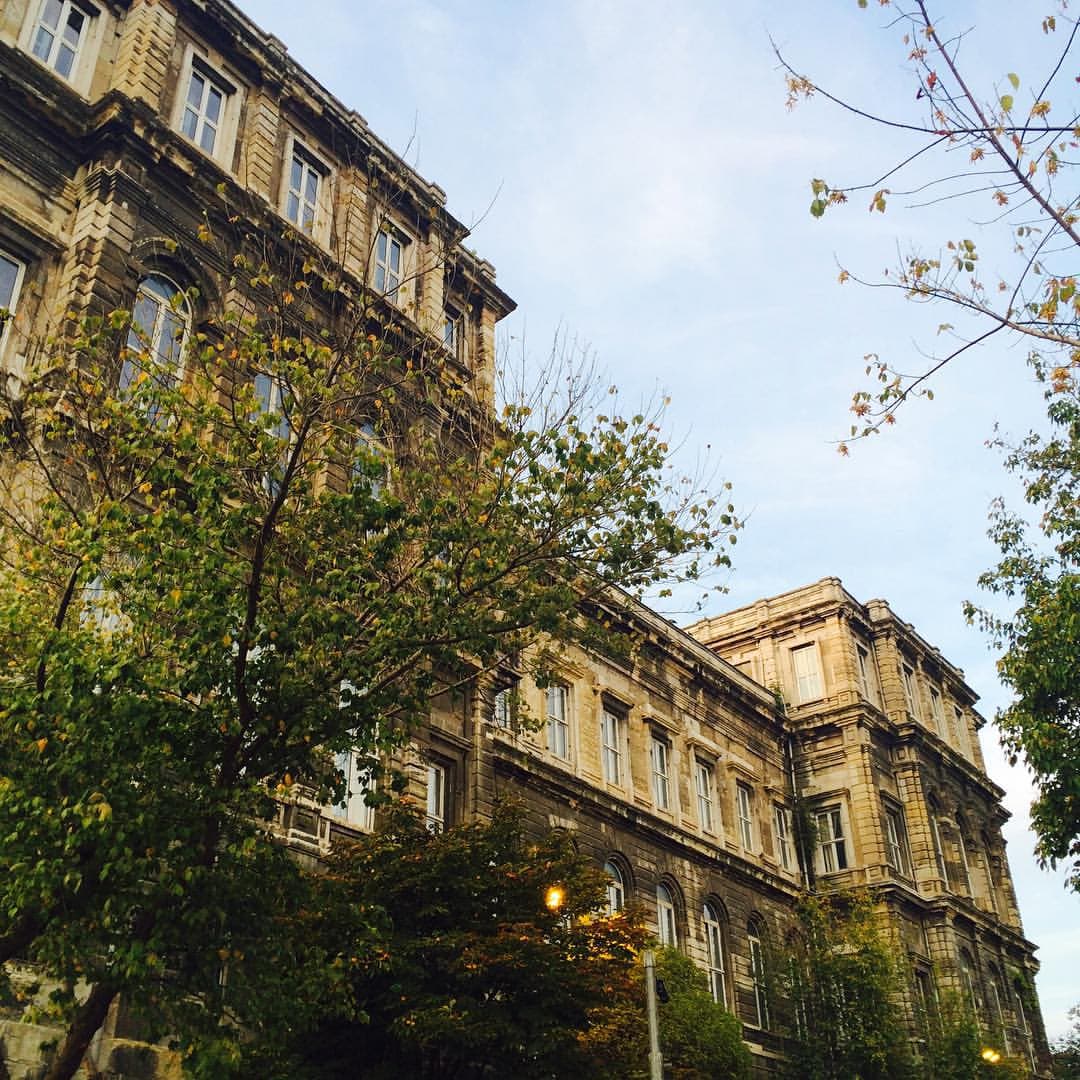 Öğrencinin gücü rektörlüğü yendi