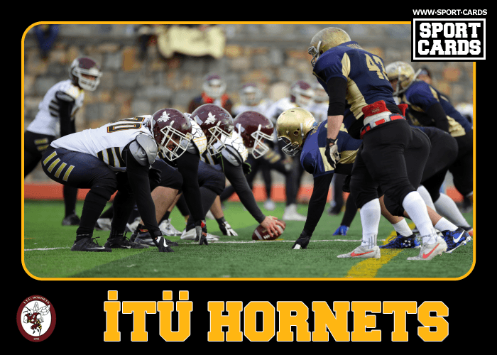 Hornets zor olsa da kazanmasını bildi