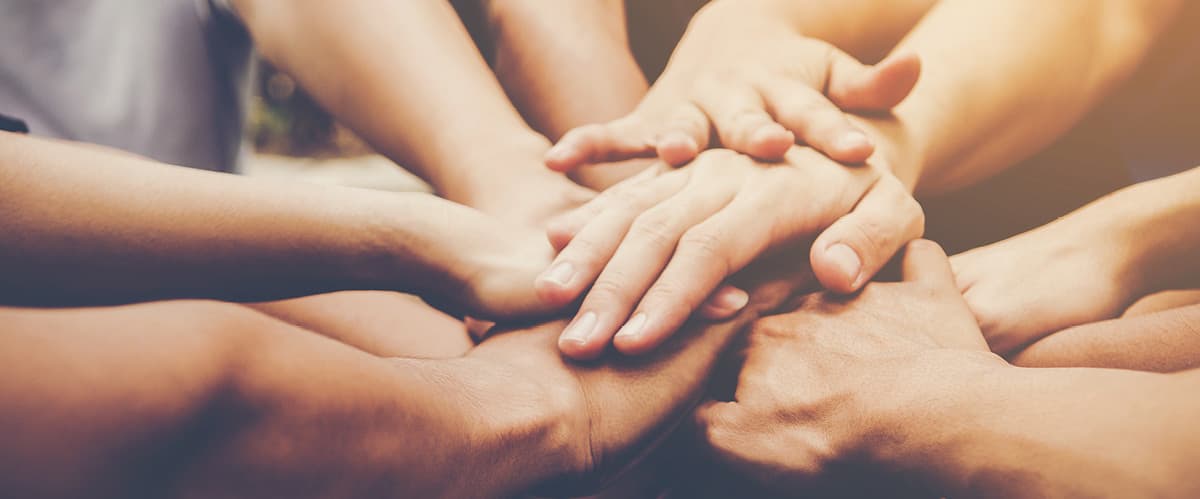 arı24 yeni ekip arkadaşlarını arıyor!